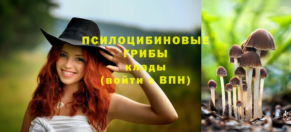 а пвп мука Балахна