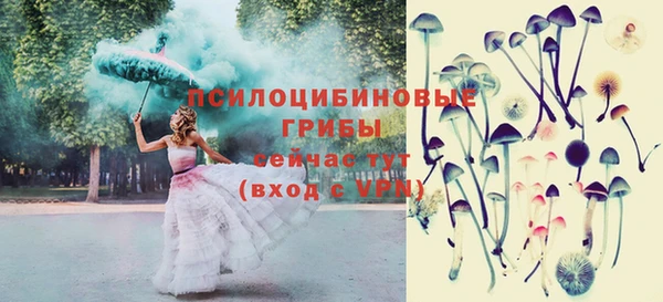 гидропоника Балабаново