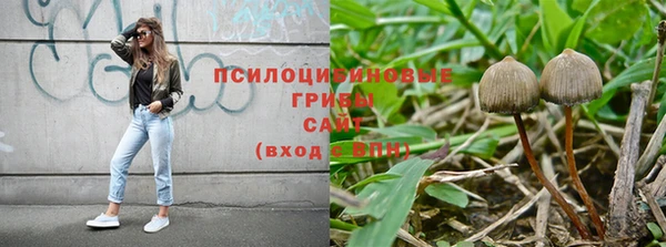 гидропоника Балабаново