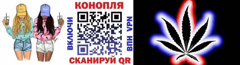 Канабис OG Kush  Шуя 
